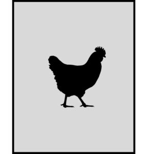 Non Vegetarian